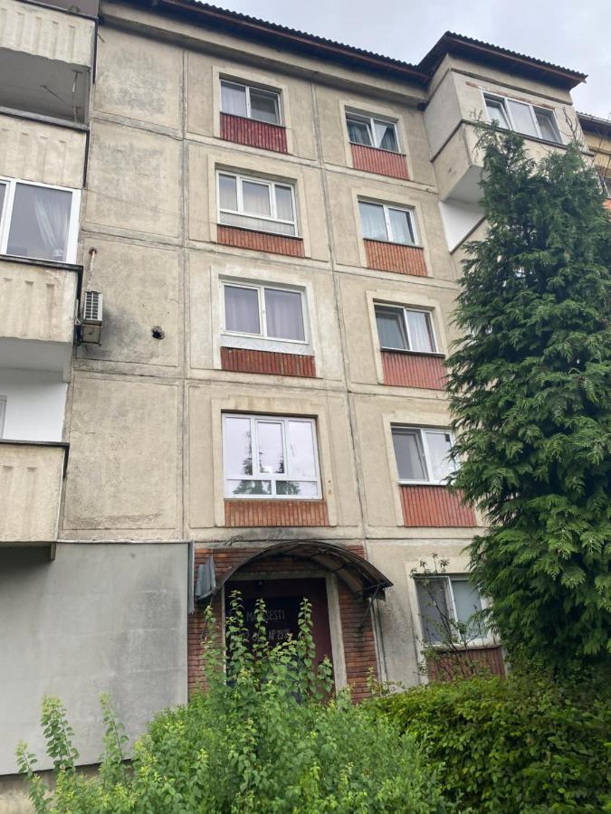 Apartament Marasesti Baia Mare Exteriör bild
